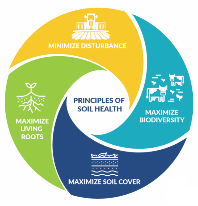 Principles of Soil Health